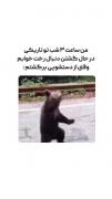 _ به شدت حقق 😂 ○o。.. .。o○ ...