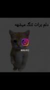 وقتی قشنگتربن پیشیی میمیره ولی ویدیو هاش نه...