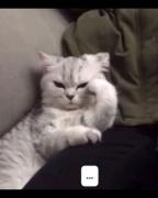 امیدوارم بدانی که چقدر🤣🤣🤣🤣🤣🤣