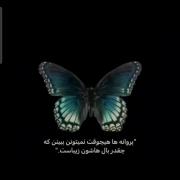 ‌‌‌‌‌‌‌‌‌‌‌‌‌‌‌‌‌‌‌‌‌‌‌‌‌‌‌‌‌‌‌