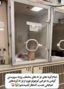 وایییی ننه ، چقدر تو نازی آخه بشرررررر : :))🥺🥰💖