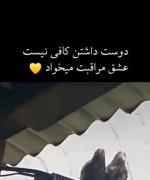 دوست داشتن کافی نی عشق مراقبت میخواد 