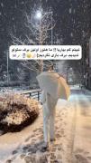 رفیق کم نیاریاا:)ما هنوز اولین برف سئولو ندیدیم:))