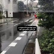 باران: موسیقی آرامش بخش طبیعت