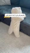 اوخداااا😂🎀 چه لپ هایی داره انگار رژ گونه زده😂