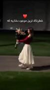 دختر میدونم سخته ولی فقط با خودت با احساس باش🦋