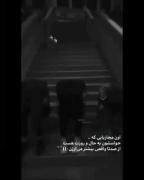 قدردانی از رفیق‌های مجازی: ارزش دوستی در لحظات سخت