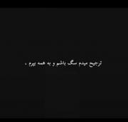 __ترجیح میدم سگ باشم و به همه بپرم__