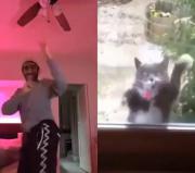 وقتی منتظری تو مهمونی بلندت کنن برقصی