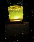 چالــش:«چـــراغ رویایییی😍🤧🐇