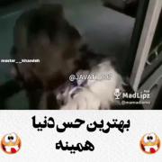 بهتریننننن حس دنیااااااااا 😂😂😂