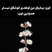 بیخیال من اونقدرام خوشگل نیستم🫤💖