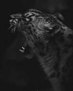 خدا ۵ انگشت هم یکی نیافرید🖐 چه برسه ما بخایم باهمه ی جور رفتار کنیم