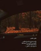 د هیچی حالمه خش نیکنهـــــــــــــــــــ