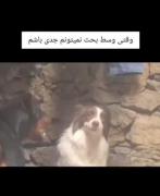 این دقیقا منم تو بحث با مامان یا بابام