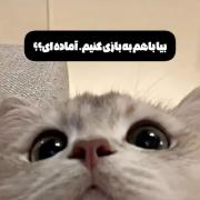 بیاین یه بازی کنیم .....🌙🥰 .