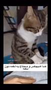 ●━━━━━━─ㅤ      ◁ㅤ❚❚ㅤ▷ㅤ↻   😂😂😂›› 