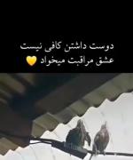 دوست داشتن کافی نیست عشق مراقبت می‌خواد 🖤⚡