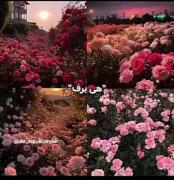 هی تو🙂♥️‌‌‌‌‌‌‌‌‌‌‌‌‌‌‌‌‌‌‌‌‌‌‌‌‌