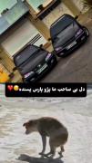 دل بی صاحب ما پژو پارس پسنده😉🤍