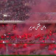 یاشاسین ترک ملتی تراختور چولارا تبریک دعرم🍓🚜