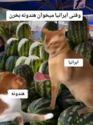 وای خداااا حققق🤣‌‌‌‌‌‌‌‌‌‌‌‌‌‌‌