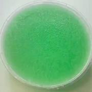 اسلایم یخی سبز و فوق فوق کیوتت