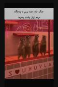  - مردم ایران یه لول بالاترن🇮🇷