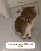 خیلی نازههههههههههه😍😍😍😍❤️❤️❤️