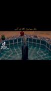 مهم‌ترین داشته زندگی: داشتن ذوق