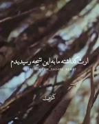 تا زنده اید ببخشید ، طرف چندین باغ خرما...
