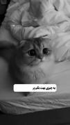 خییییلیییی خوششگگگللیی=خیلیااا