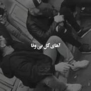 اهای گل بی وفا منو کرده ای رها😭🙃😞💔