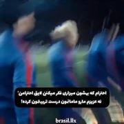 ...............................