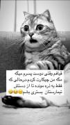 قیافه من وقتی دوس پسرم میگه مگه.... 