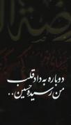 دوباره به داد دلم رسیده حسین (ع)