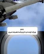 حس تلخ مهاجرت: وقتی برای همیشه از وطن میری