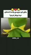 وقتی میگن واسه امتحان چیکار کردی😶 | امتحان