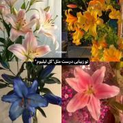 Pov:تو زیبایی درست مثل پدیده های طبیعت!