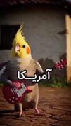 به به نازه نفست عروس هلندی😂🦜🕊