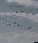 موزیک ویدئوی دلتنگی: 'درست میشه ولی جاش میمونه'