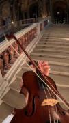 ولی زیبایی این ساز...🎻>>>>>>>