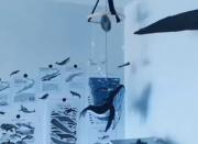 رنگ مورد علاقه ی من آبیییییییی💙🌊