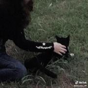 اگه یه روز ...................