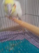 (:(:(:(:(:(:(:(:(:(:(:(:(:(:(: