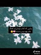 وایب جالبیه!...................