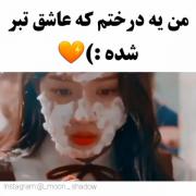 زیبایی حقیفی فیلم کره از کیدراما