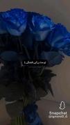 ✞✞ طُ مثِ رُز آبی؛قشنگے 💙 ✞✞ …………