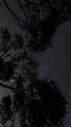 🌛✨--------------------------------