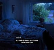 شب و آرامش: یک ویدیو زیبا از طبیعت در شب